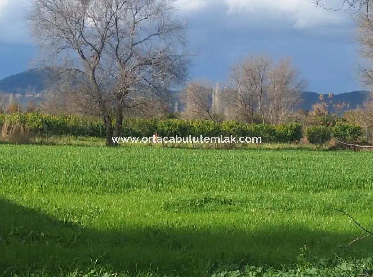3487 M², 2 Stockwerke Und 10 % Ausgewiesenes Grundstück Zum Verkauf Im Viertel Muğla Ortaca Dikmeekavak