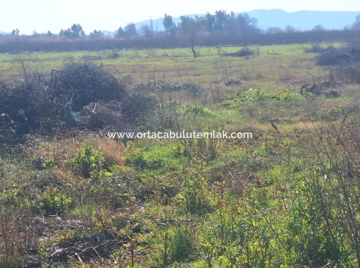 6750 M² Landwirtschaftliche Flächen Zum Verkauf Im Stadtteil Ortaca Yesilyurt