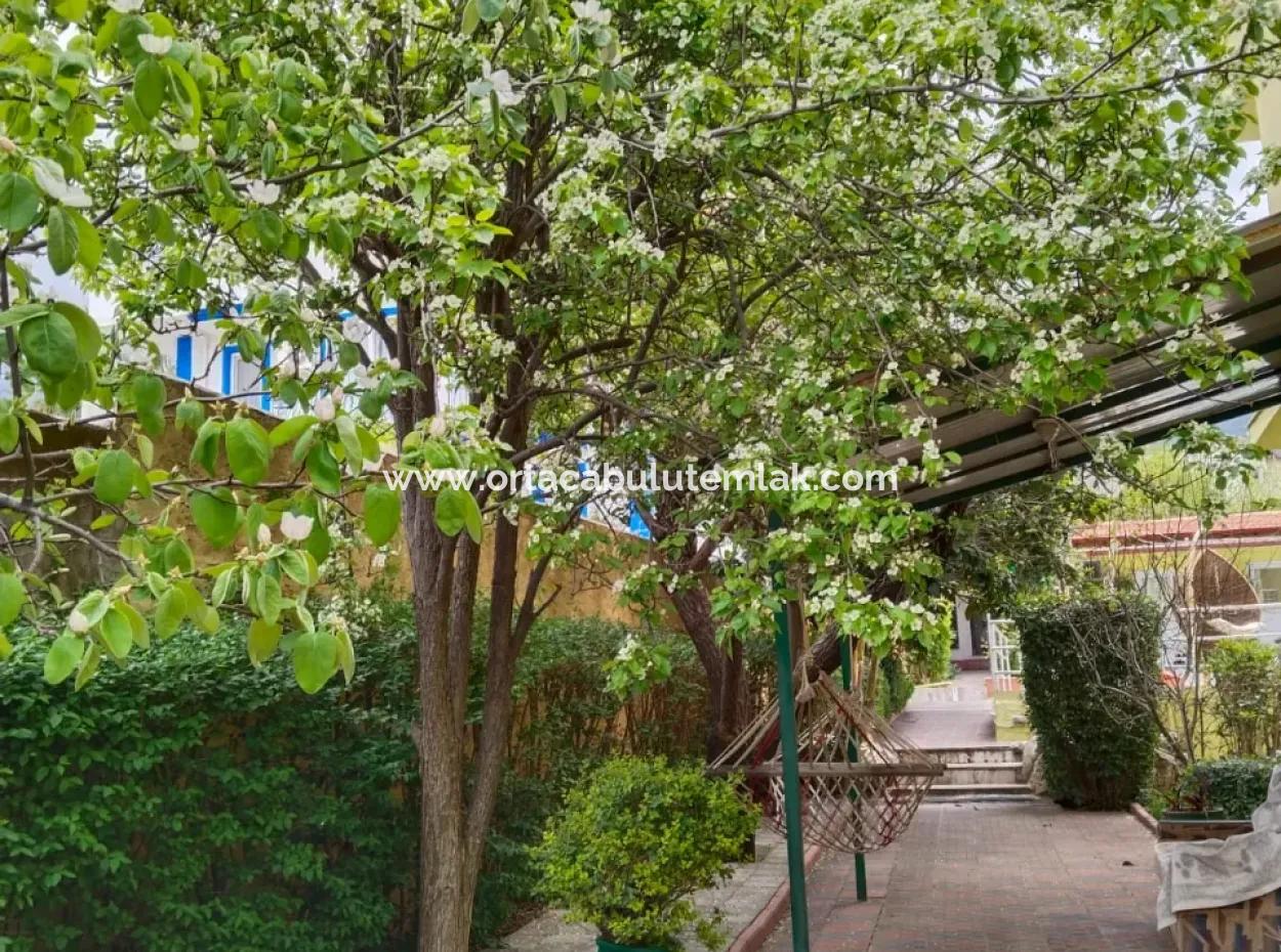 Wohnung Zum Verkauf In Muğla Fethiye Ölüdeniz Nachbarschaft