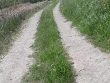 9500 M² Tariö Land Zum Verkauf Im Stadtteil Ortaca Güzelyurt