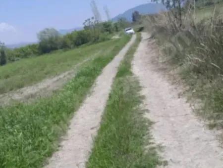 9500 M² Tariö Land Zum Verkauf Im Stadtteil Ortaca Güzelyurt