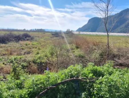 6750 M² Landwirtschaftliche Flächen Zum Verkauf Im Stadtteil Ortaca Yesilyurt