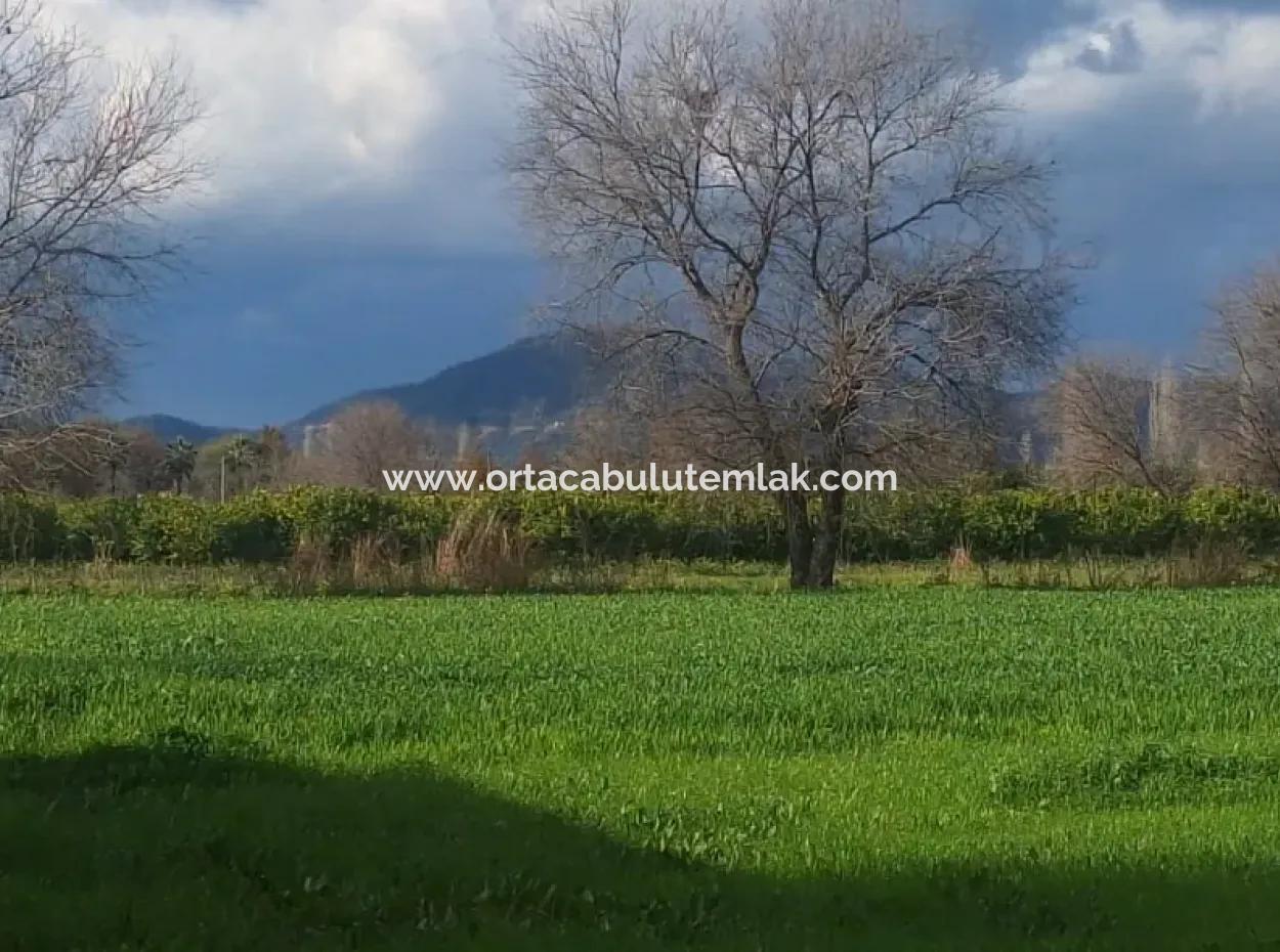 3487 M2 2 Floors 10% Zoned Land For Sale In Muğla Ortaca Dikmekavak Neighborhood