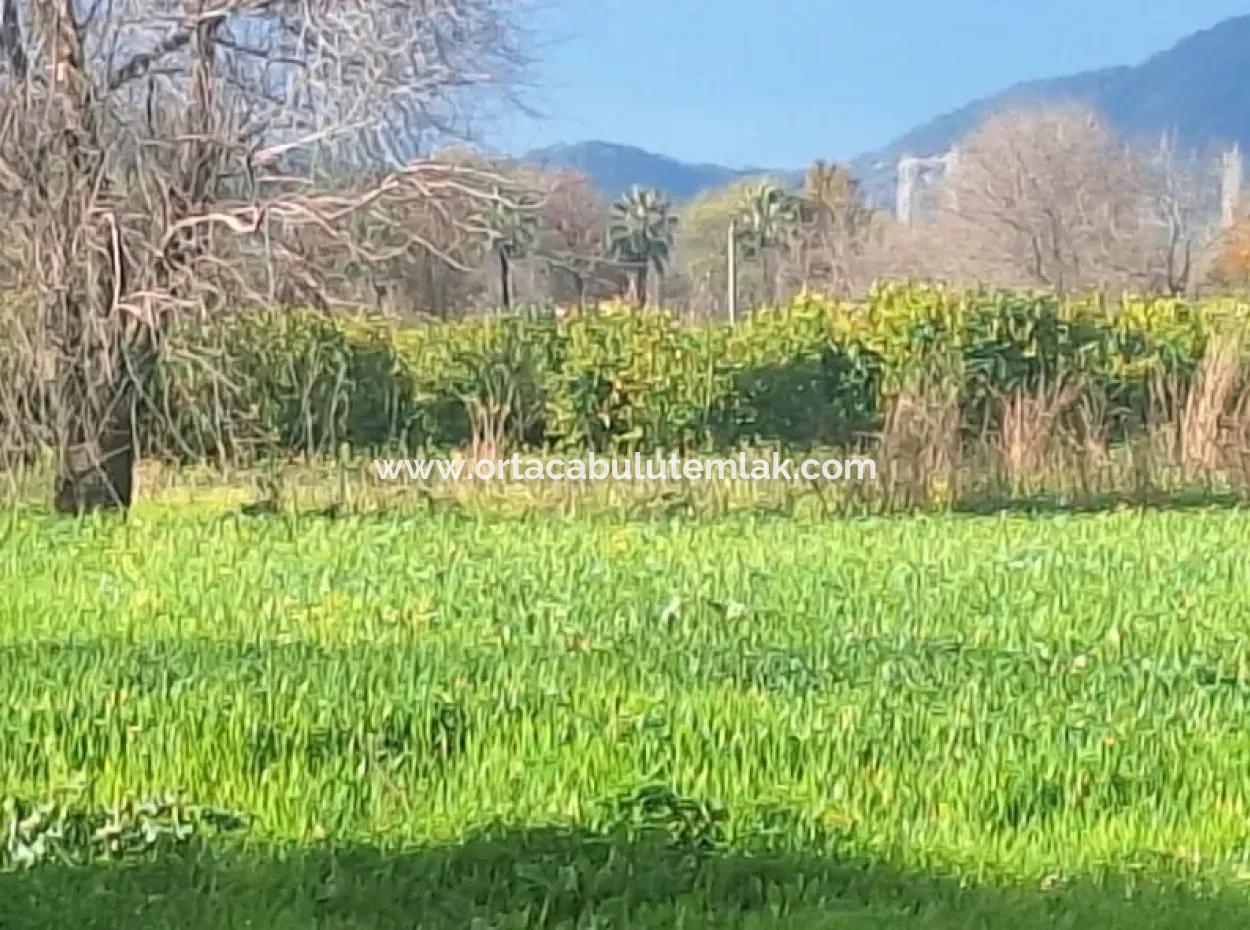 3487 M2 2 Floors 10% Zoned Land For Sale In Muğla Ortaca Dikmekavak Neighborhood