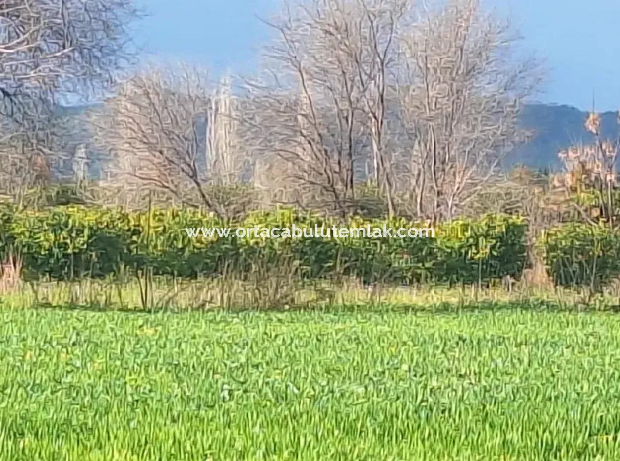 3487 M2 2 Floors 10% Zoned Land For Sale In Muğla Ortaca Dikmekavak Neighborhood