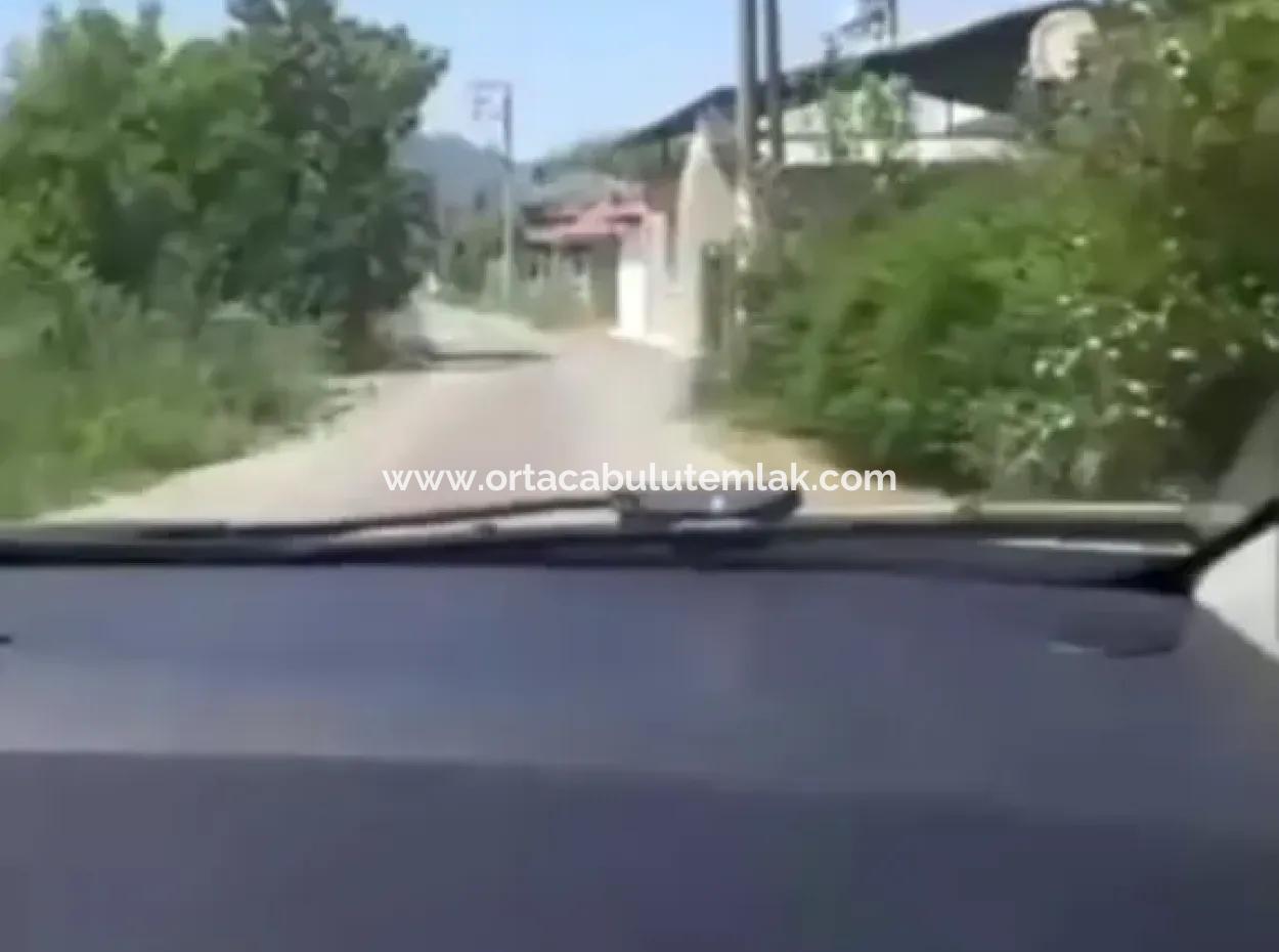 9500 M2 Tariö Land For Sale In Ortaca Güzelyurt Neighborhood