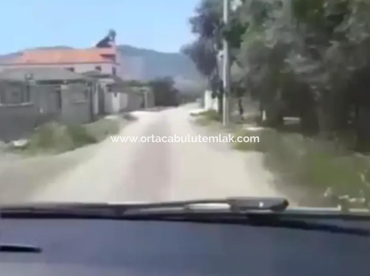 9500 M2 Tariö Land For Sale In Ortaca Güzelyurt Neighborhood