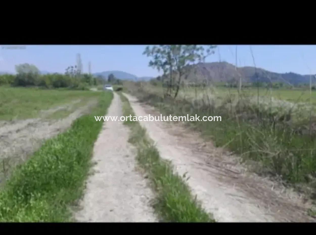 9500 M2 Tariö Land For Sale In Ortaca Güzelyurt Neighborhood