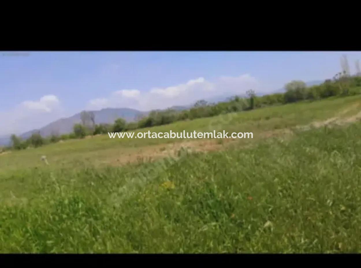 9500 M2 Tariö Land For Sale In Ortaca Güzelyurt Neighborhood