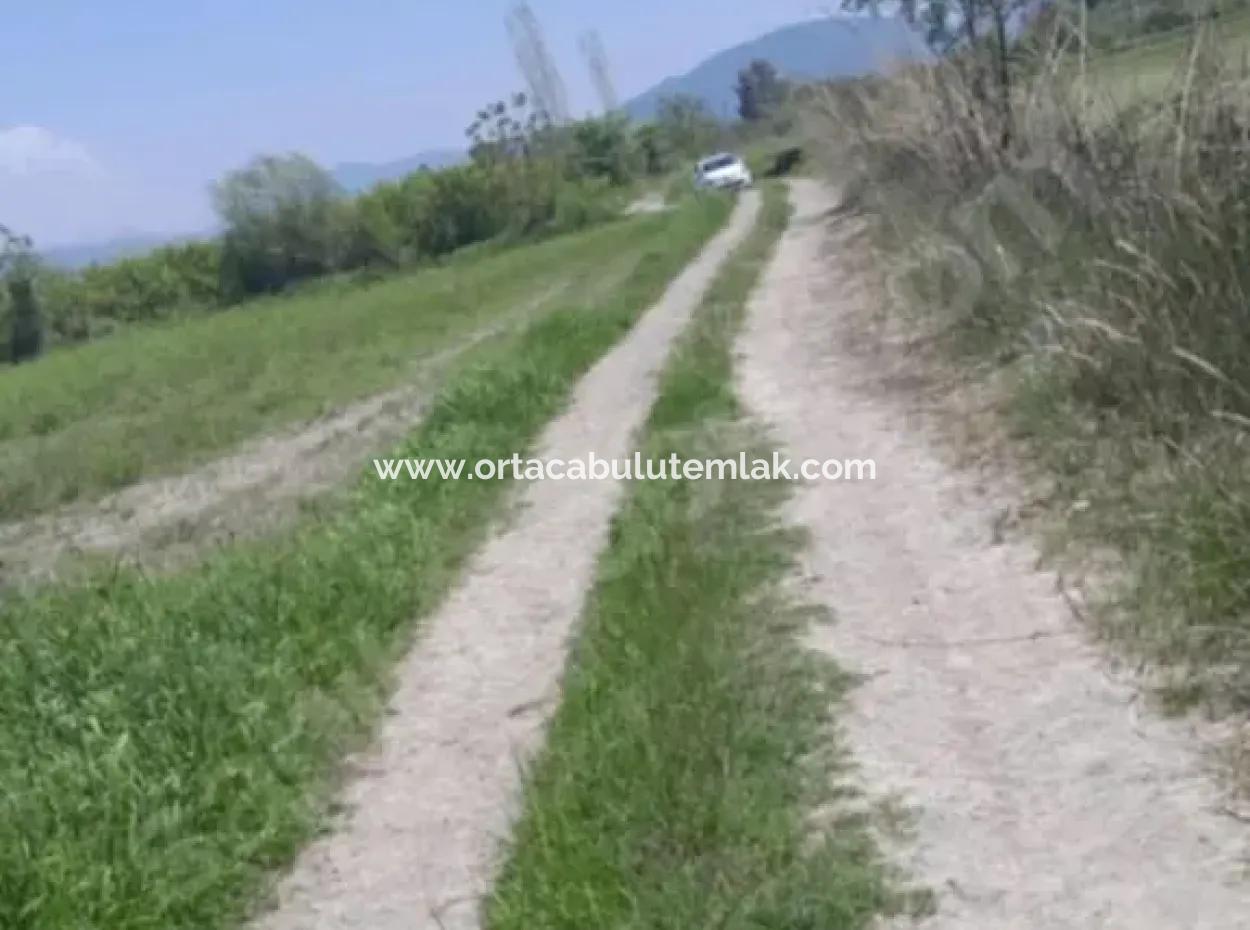 9500 M2 Tariö Land For Sale In Ortaca Güzelyurt Neighborhood