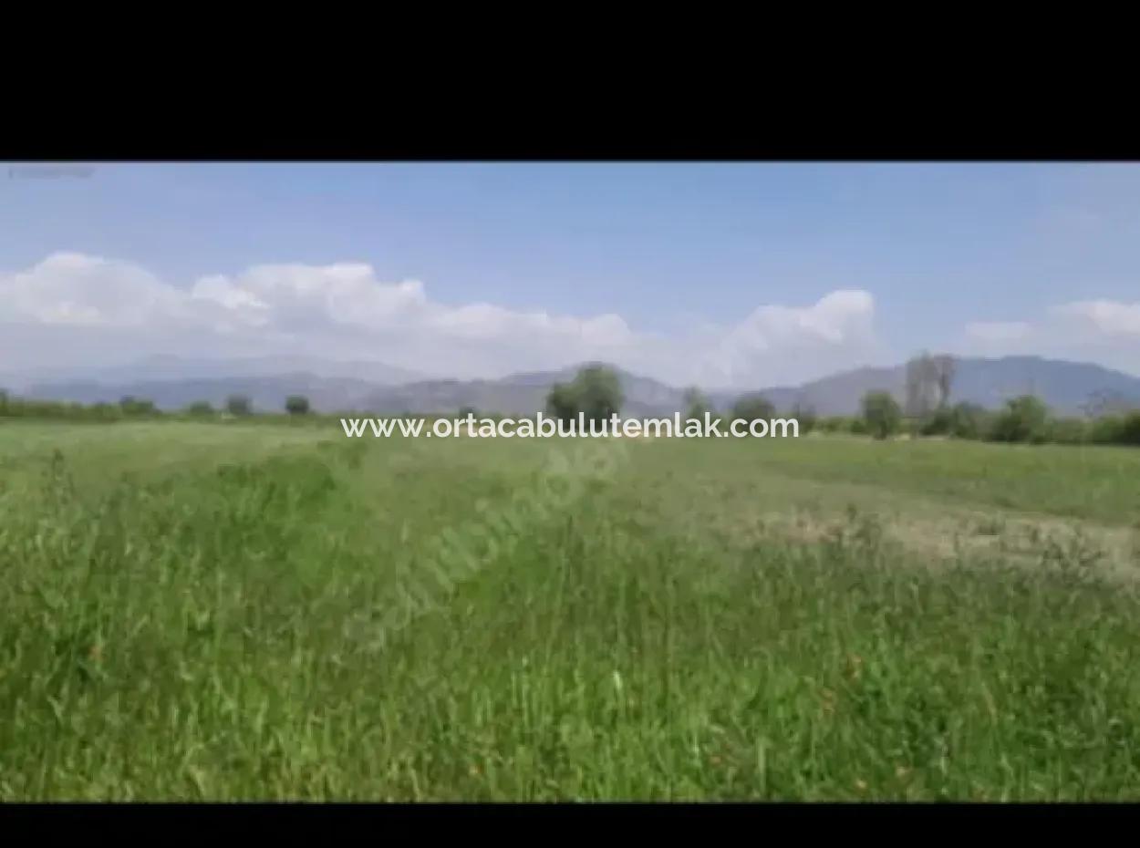 9500 M2 Tariö Land For Sale In Ortaca Güzelyurt Neighborhood