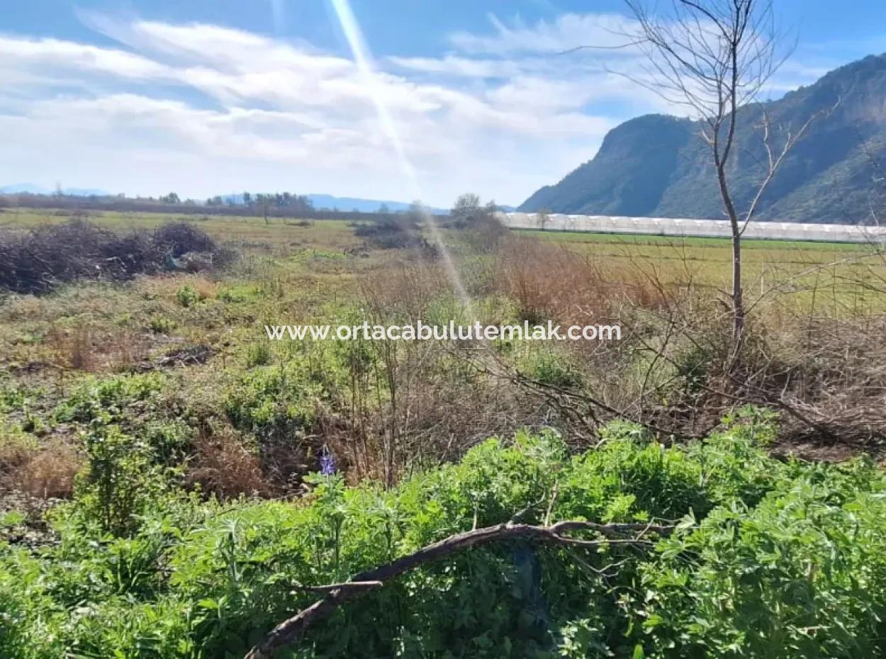 6750 M2 Agricultural Land For Sale In Ortaca Yesilyurt Neighborhood