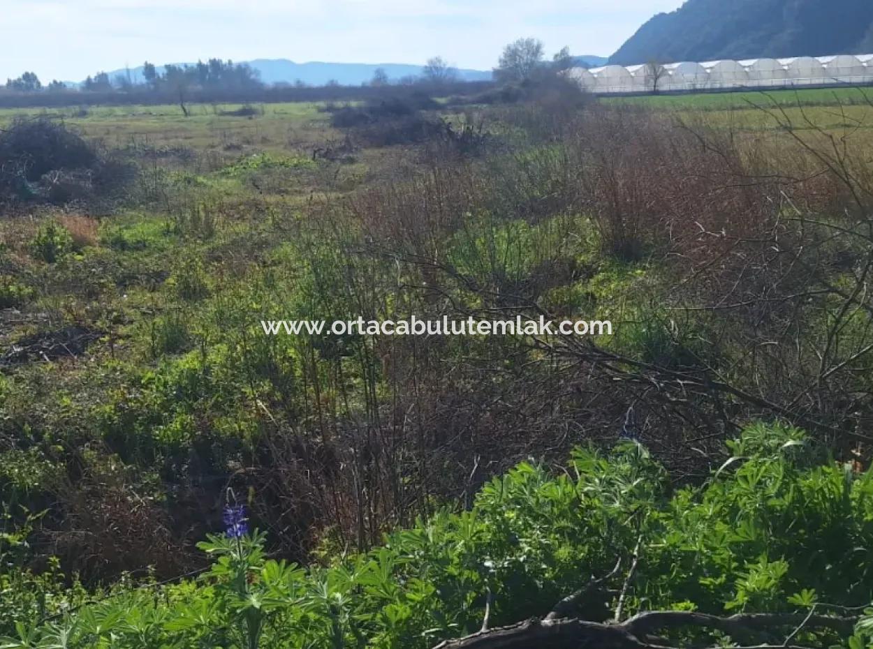 6750 M2 Agricultural Land For Sale In Ortaca Yesilyurt Neighborhood