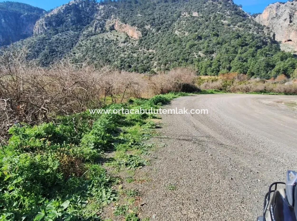 6750 M2 Agricultural Land For Sale In Ortaca Yesilyurt Neighborhood