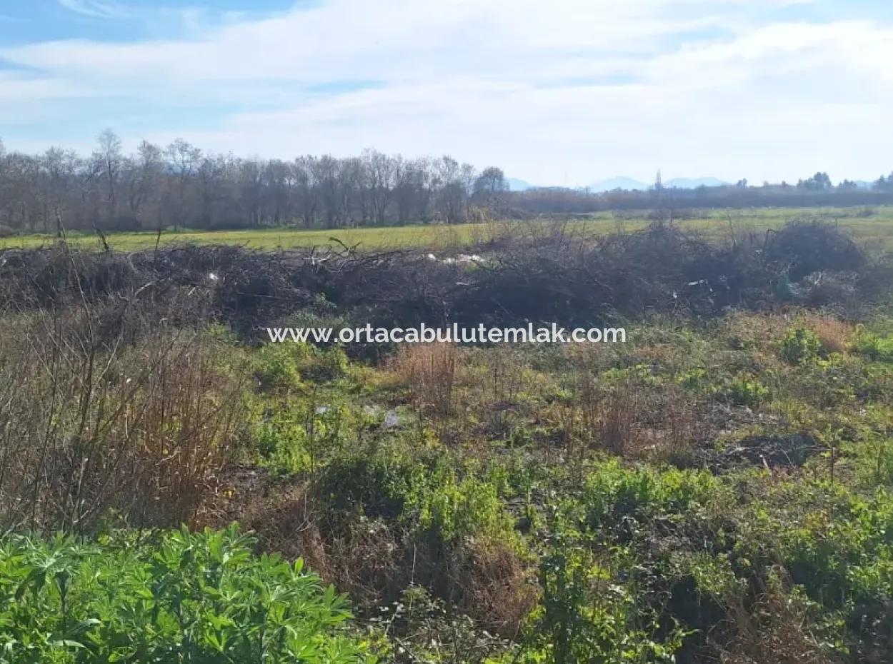 6750 M2 Agricultural Land For Sale In Ortaca Yesilyurt Neighborhood