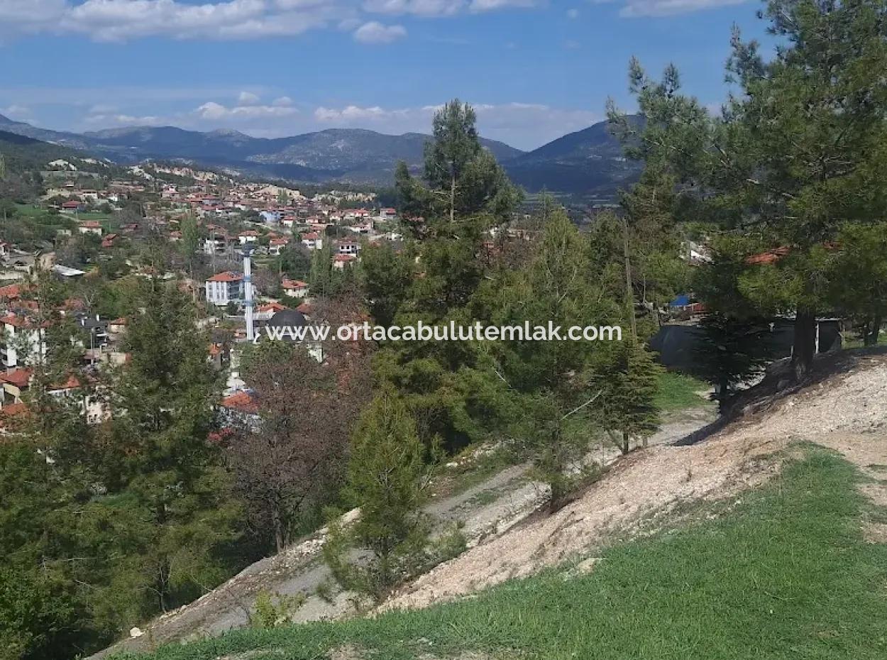 Land For Sale In Denizli Çamali District