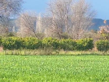 3487 M2 2 Floors 10% Zoned Land For Sale In Muğla Ortaca Dikmekavak Neighborhood