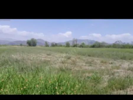 9500 M2 Tariö Land For Sale In Ortaca Güzelyurt Neighborhood