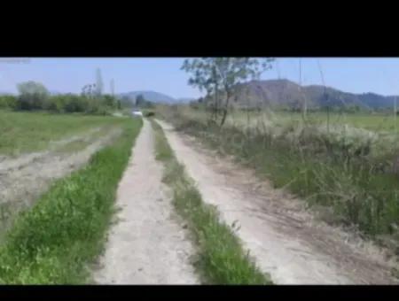 9500 M2 Tariö Land For Sale In Ortaca Güzelyurt Neighborhood