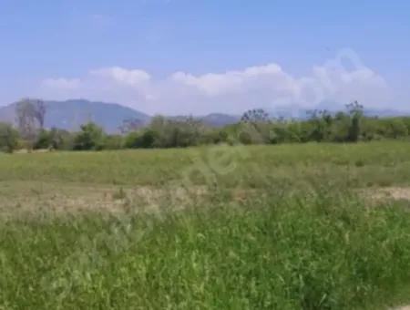 9500 M2 Tariö Land For Sale In Ortaca Güzelyurt Neighborhood