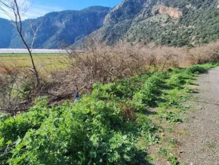 6750 M2 Agricultural Land For Sale In Ortaca Yesilyurt Neighborhood