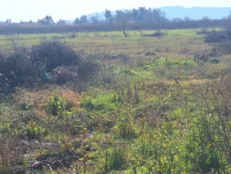 6750 M2 Agricultural Land For Sale In Ortaca Yesilyurt Neighborhood