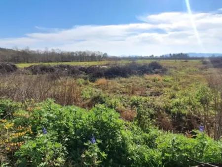 6750 M2 Agricultural Land For Sale In Ortaca Yesilyurt Neighborhood