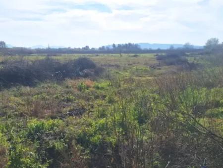6750 M2 Agricultural Land For Sale In Ortaca Yesilyurt Neighborhood