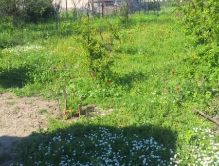 For Sale In Orraca Center Detached Ķoy Ebi