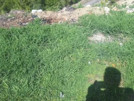Land For Sale In Denizli Çamali District