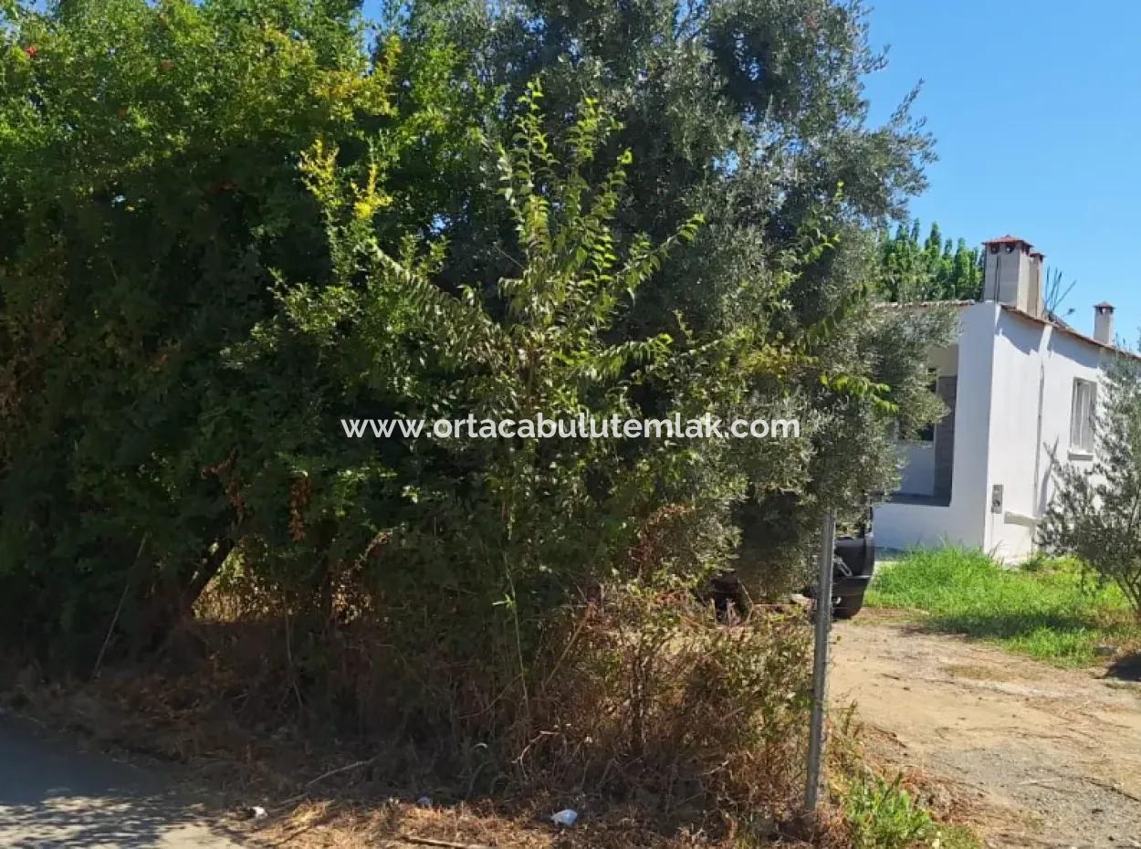 Muğla  Köyçeğiz  Beyobası Mahallesin De Mustakil Köy Evi Satılık