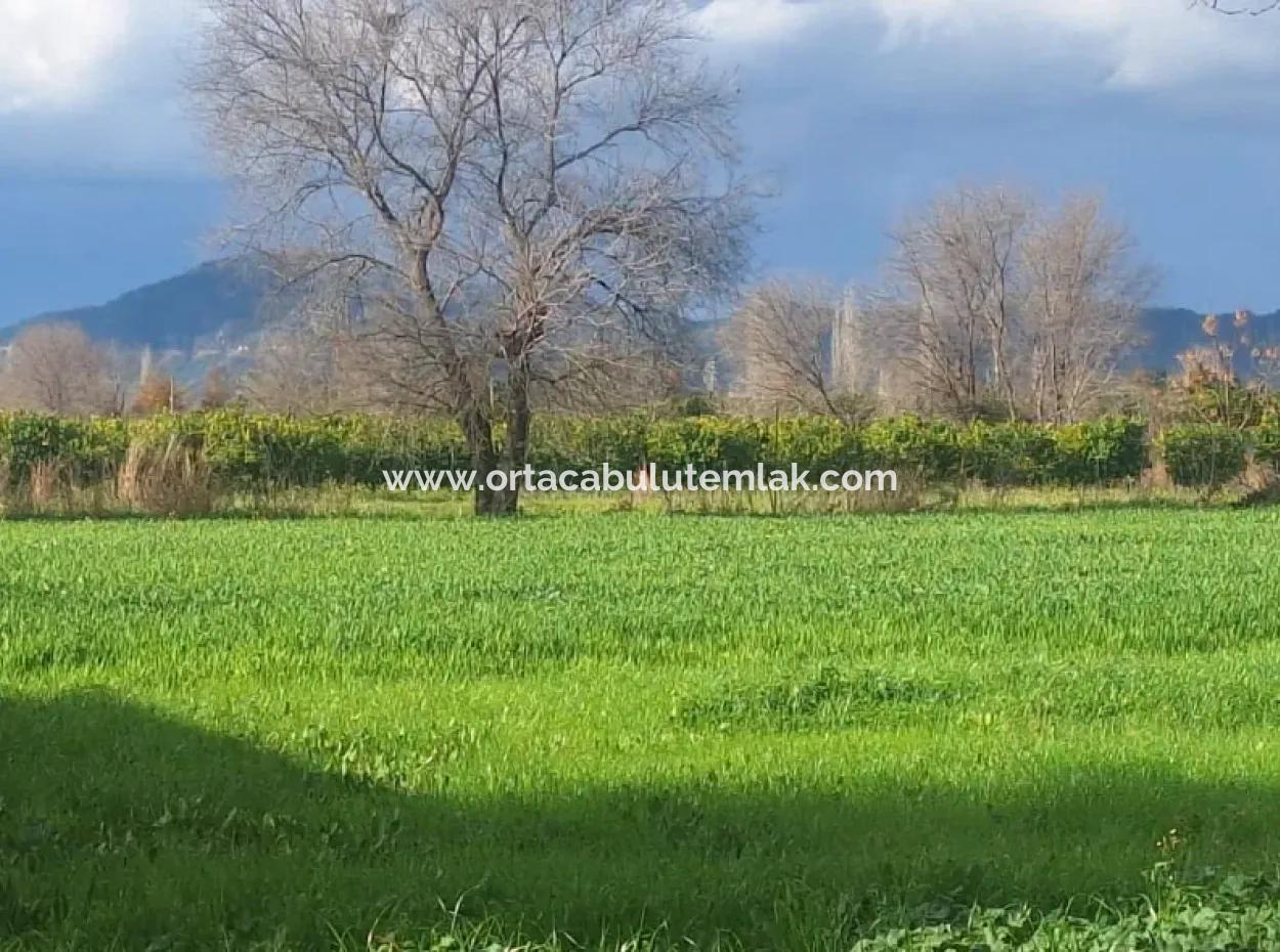 Muğla Ortaca Dikmekavak Mahallesin De 3487 M2  2 Kat  % 10  İmarlı Arsa Satılık