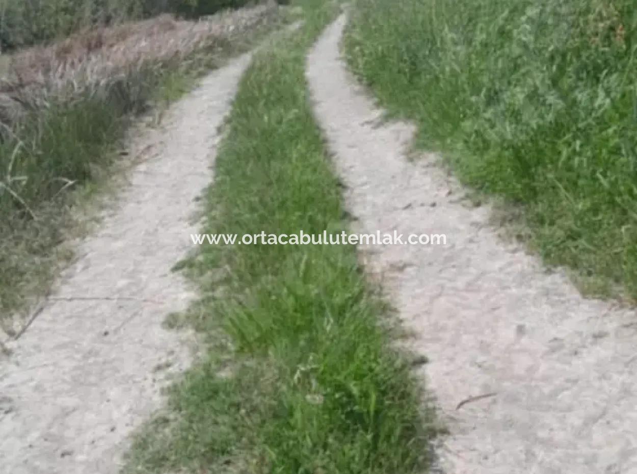 Ortaca  Güzelyurt Mahallesin De 9500 M2 Tarım Arazisi Satılık