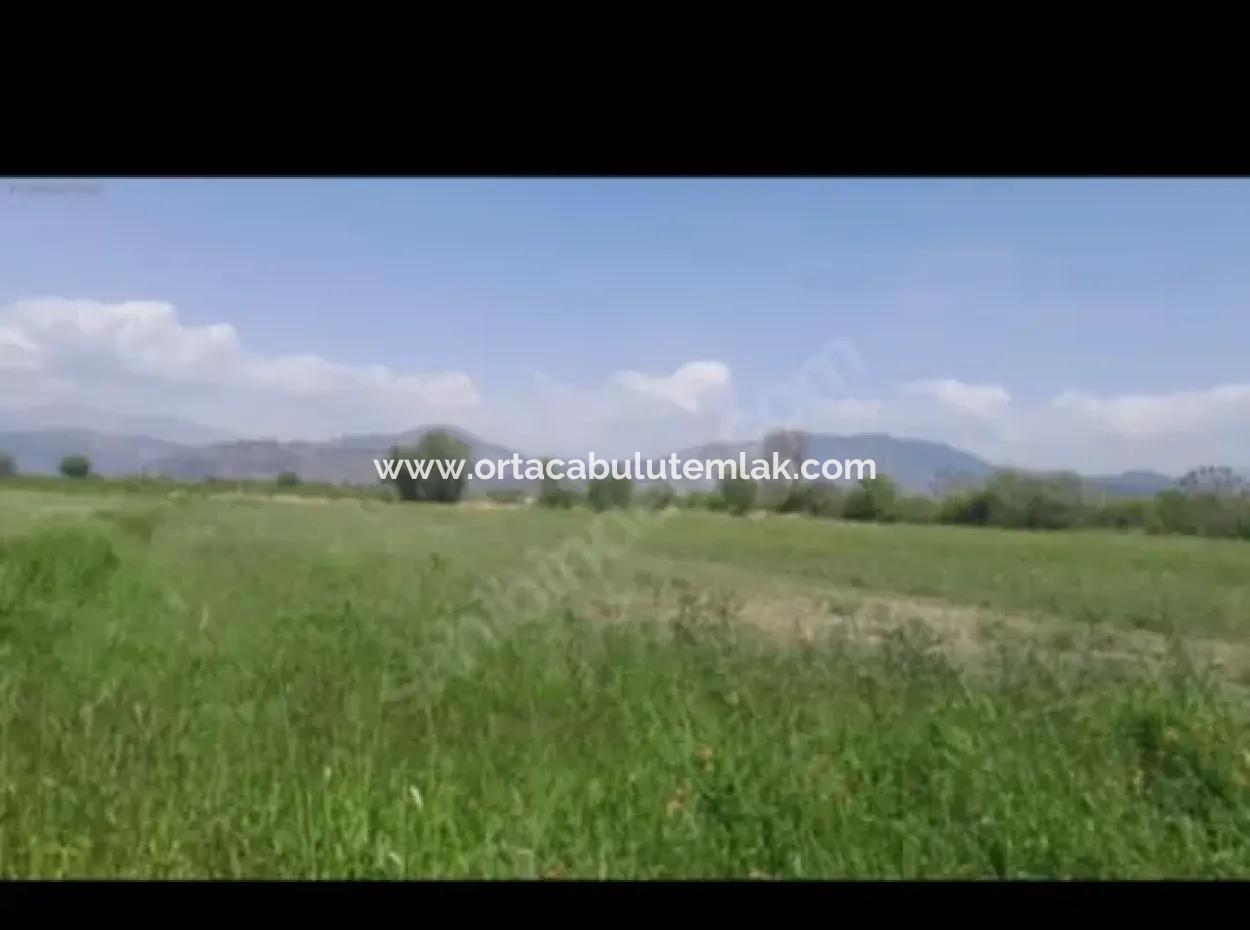 Ortaca  Güzelyurt Mahallesin De 9500 M2 Tarım Arazisi Satılık