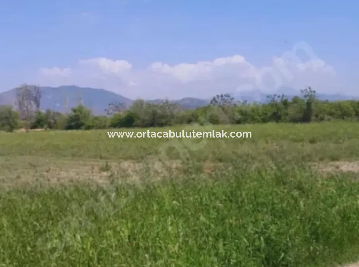 Ortaca  Güzelyurt Mahallesin De 9500 M2 Tarım Arazisi Satılık