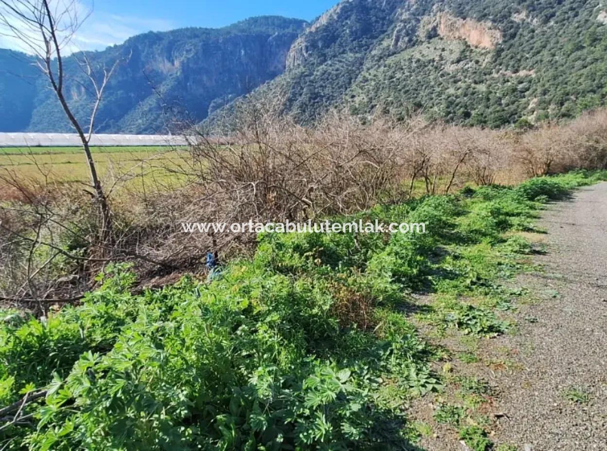 Ortaca  Yeşilyurt Mahallesin De  Satılık 6750 M2 Tarım Arazisi