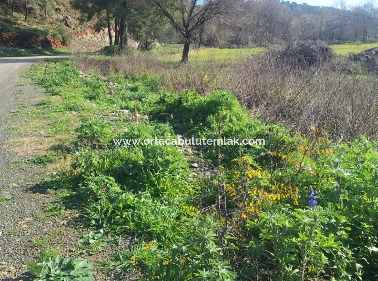 Ortaca  Yeşilyurt Mahallesin De  Satılık 6750 M2 Tarım Arazisi