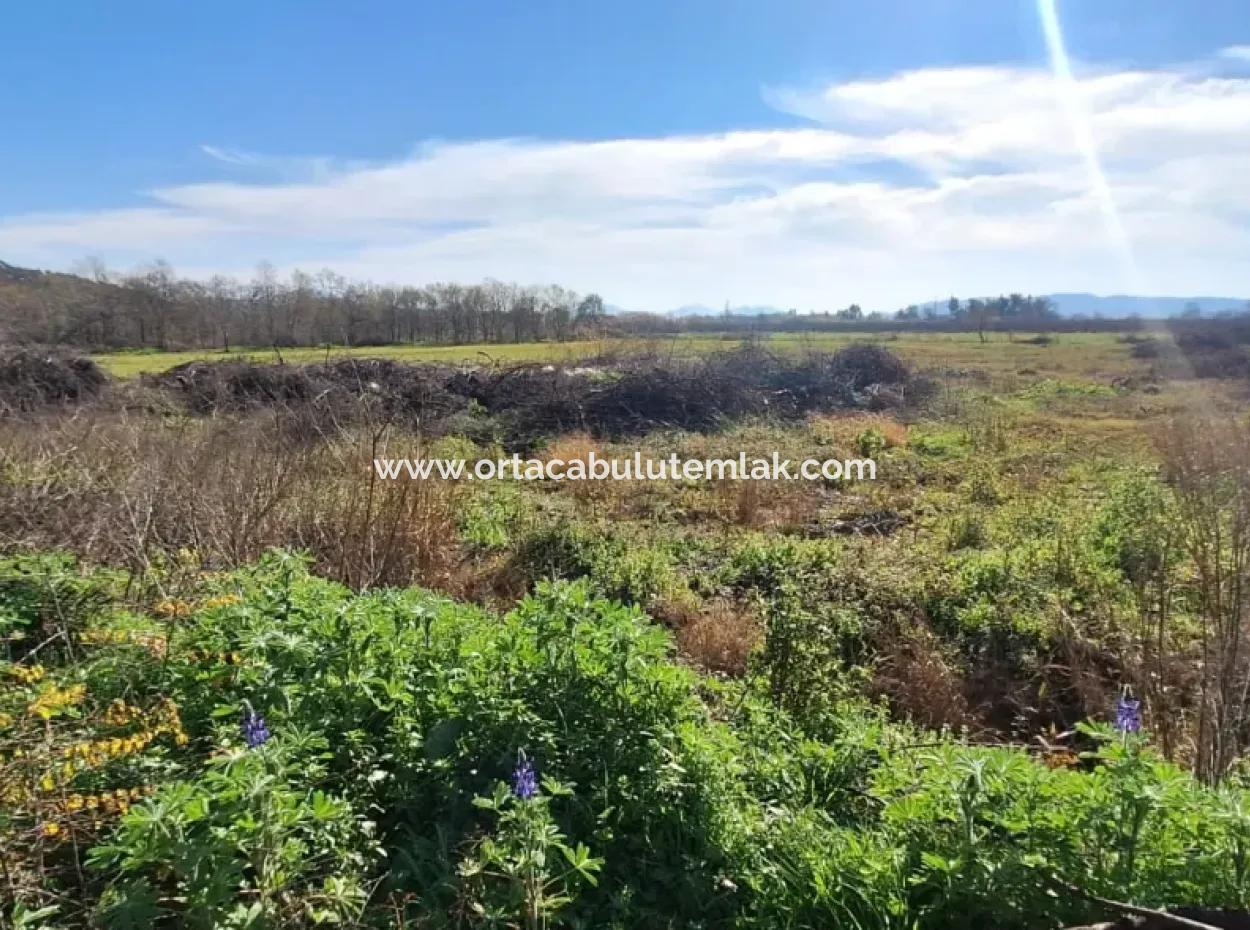 Ortaca  Yeşilyurt Mahallesin De  Satılık 6750 M2 Tarım Arazisi