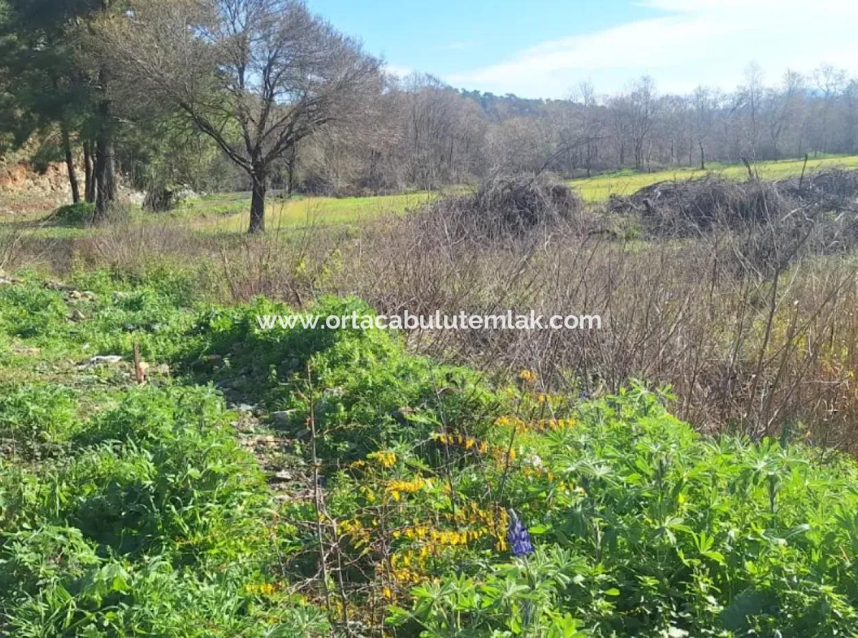 Ortaca  Yeşilyurt Mahallesin De  Satılık 6750 M2 Tarım Arazisi