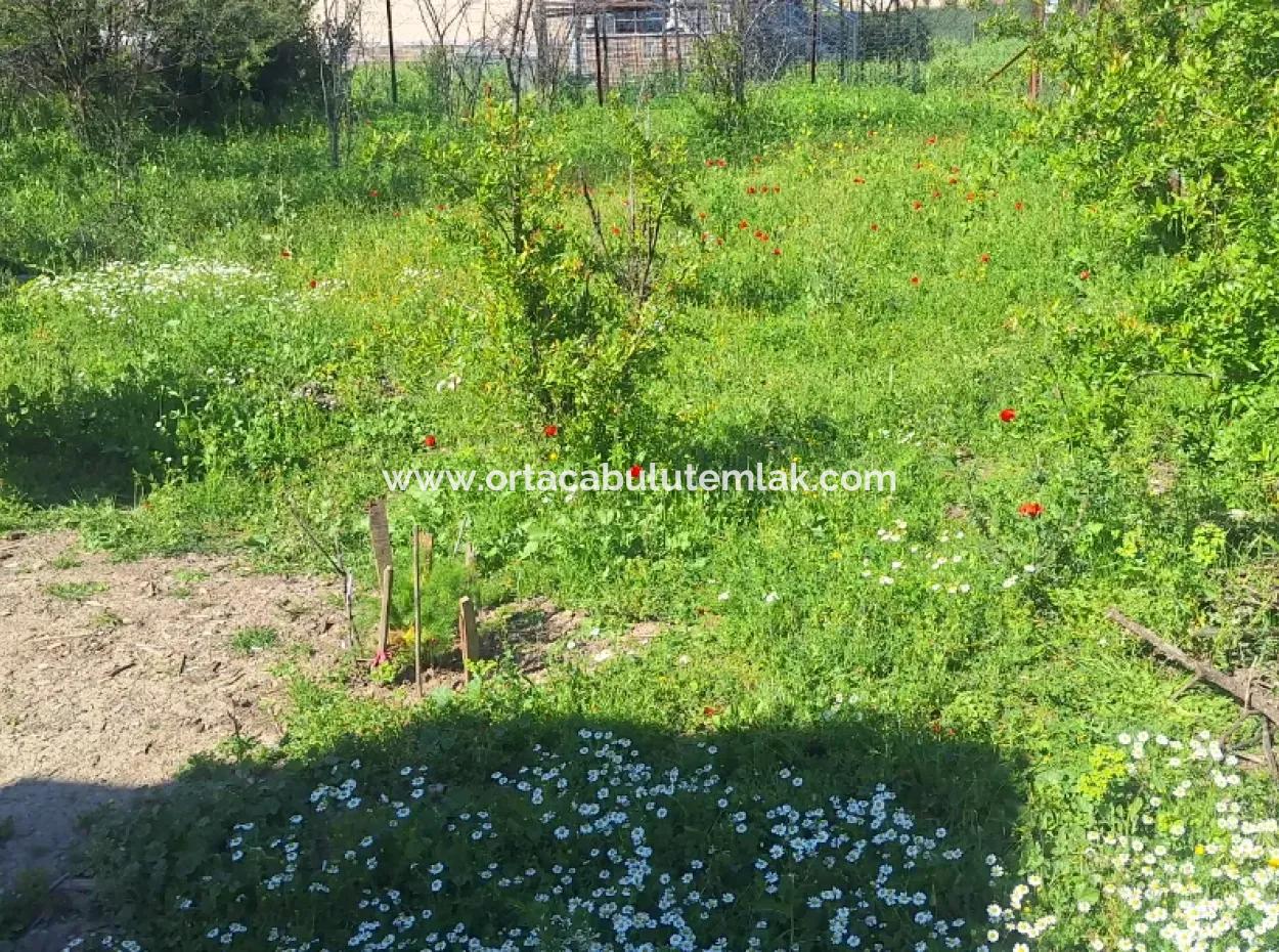 Ortaca Merkez De  Mustakil Ķöy Evi Satılık