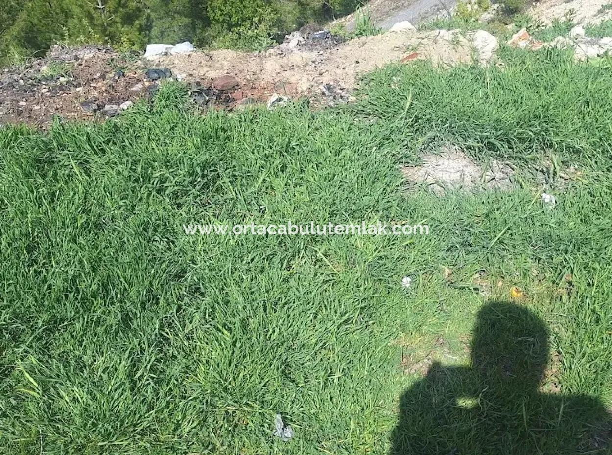 Denizli   Çamali   İlçesin De Satılık Arsa