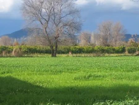 Muğla Ortaca Dikmekavak Mahallesin De 3487 M2  2 Kat  % 10  İmarlı Arsa Satılık