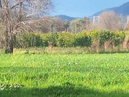 Muğla Ortaca Dikmekavak Mahallesin De 3487 M2  2 Kat  % 10  İmarlı Arsa Satılık