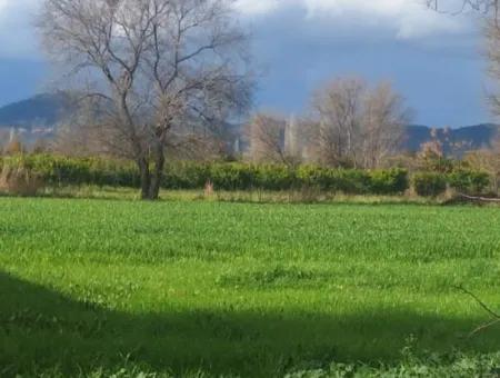 Muğla Ortaca Dikmekavak Mahallesin De 3487 M2  2 Kat  % 10  İmarlı Arsa Satılık