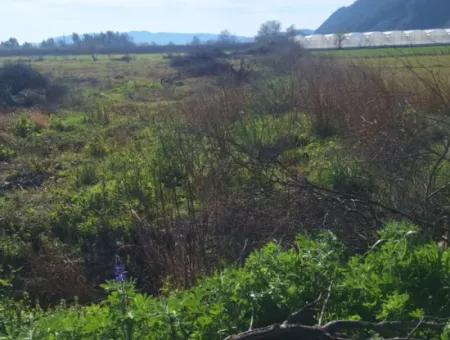 Ortaca  Yeşilyurt Mahallesin De  Satılık 6750 M2 Tarım Arazisi