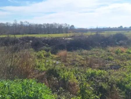 Ortaca  Yeşilyurt Mahallesin De  Satılık 6750 M2 Tarım Arazisi