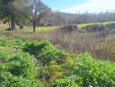 Ortaca  Yeşilyurt Mahallesin De  Satılık 6750 M2 Tarım Arazisi